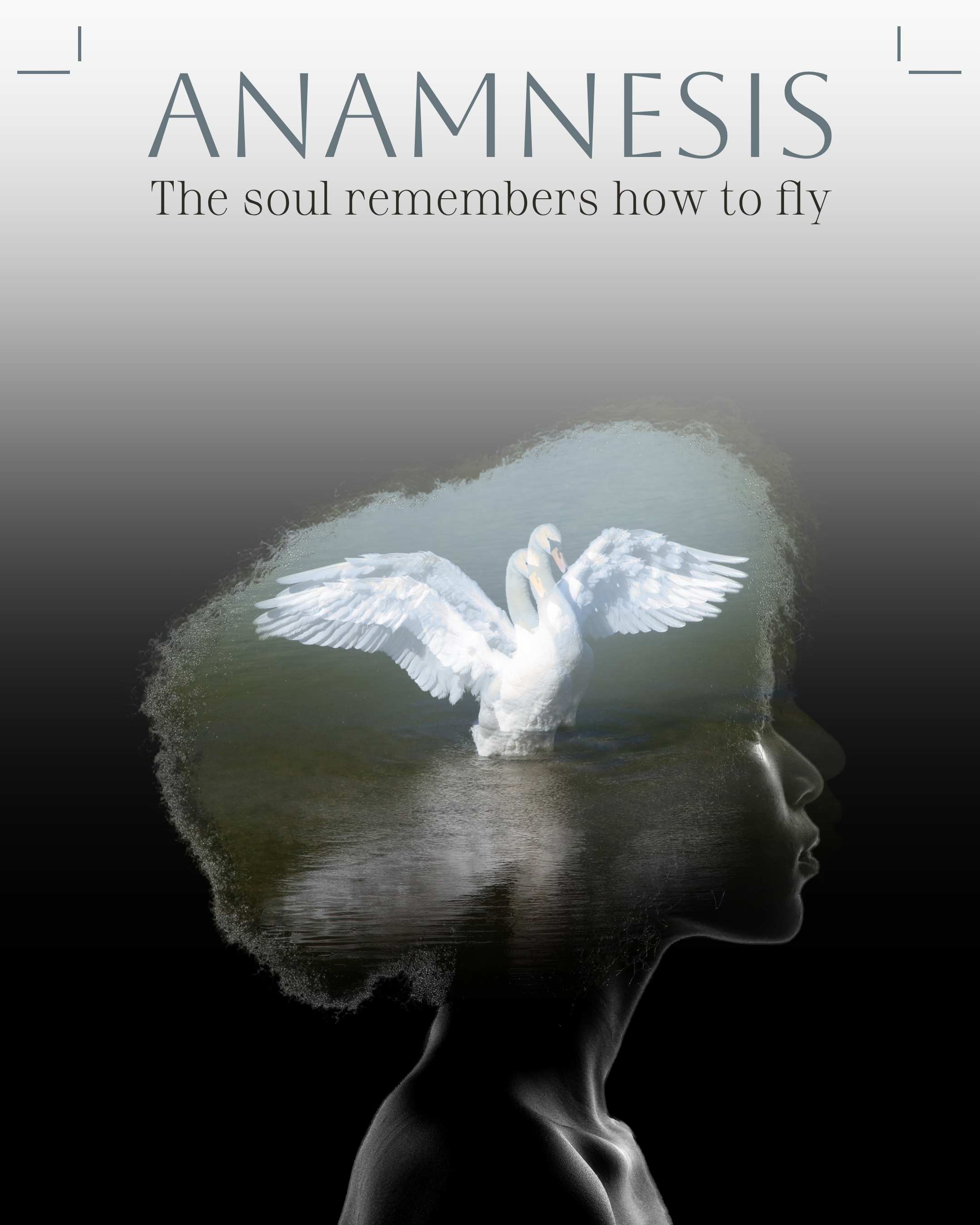 Double Exposure Experiment: The Swan Within